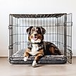 Show in main carousel: Muddy Mat Dog Crate Mat, Grey, 42-in slide 2 of 7