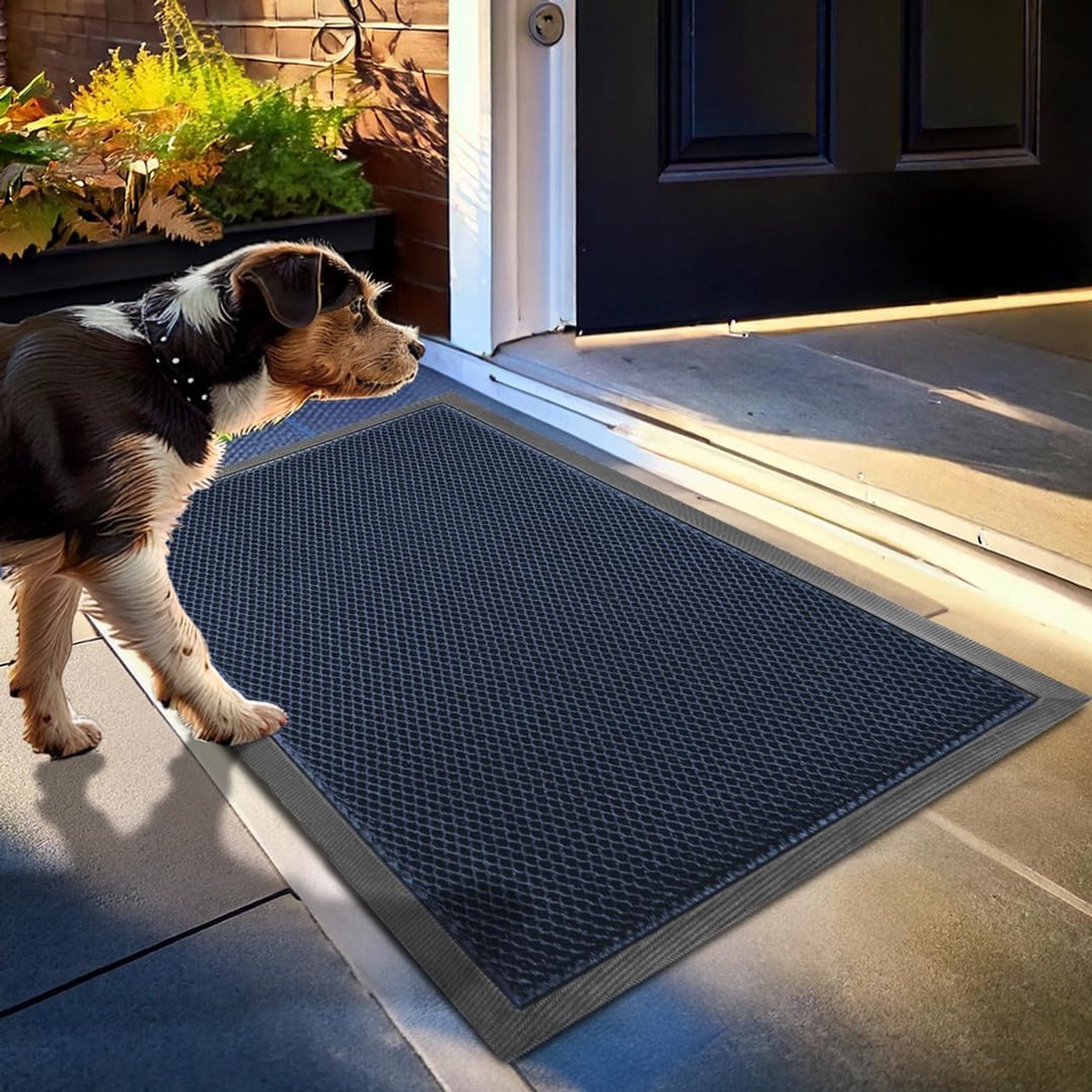 Muddy Mat Mesh Quick-Dry Dog Door Mat, Blue, 17 x 30-in
