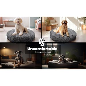 Muddy Mat Cloud K-9 Dog Bed with Removable Cover, Grey, Large