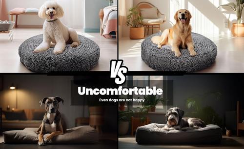 Show full view: Muddy Mat Cloud K-9 Dog Bed with Removable Cover, Grey, Large slide 7 of 8