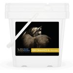 Mad Barn Performance XL Electrolytes Hydration & Exercise Recovery Horse Powdered Supplement