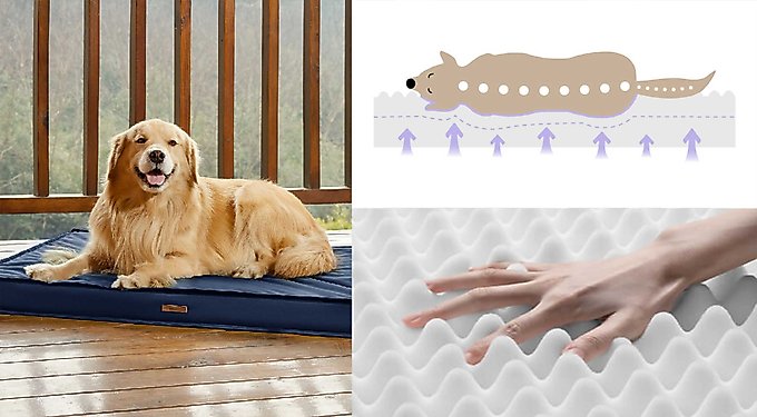 Lesure Indoor & Outdoor Waterproof Orthopedic Dog Bed with Removable Cover