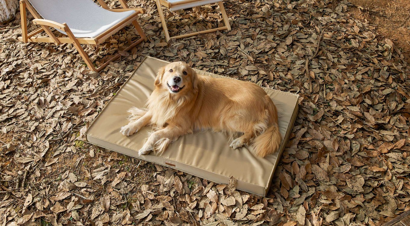 Lesure Indoor & Outdoor Waterproof Orthopedic Dog Bed with Removable Cover
