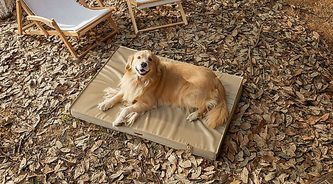 Lesure Indoor & Outdoor Waterproof Orthopedic Dog Bed with Removable Cover