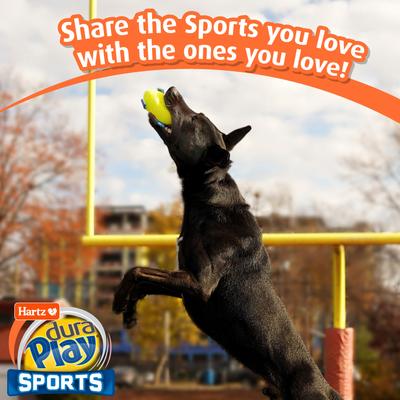 Show full view: Hartz Dura Play Sports Football Dog Toy, Yellow & Blue, Bacon Scented, 1 count slide 8 of 8