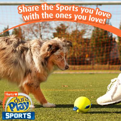 Show full view: Hartz Dura Play Sports Ball Variety Dog Toy, Yellow & Blue, Bacon Scented, 3 count slide 7 of 7