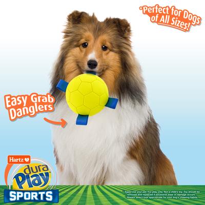 Show full view: Hartz Dura Play Sports Soccer Dog Toy, Yellow & Blue, Bacon Scented, 1 count slide 3 of 9