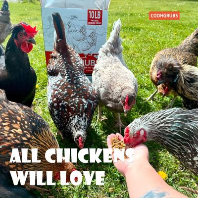 Show full view: COOHGRUBS Dried Black Soldier Fly Larvae Chicken Treat, 2-lb box slide 8 of 10