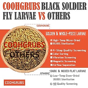 COOHGRUBS Dried Black Soldier Fly Larvae Chicken Feed, 5-lb box