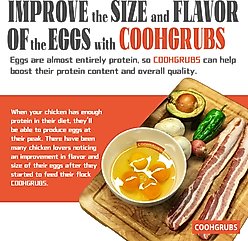 COOHGRUBS Dried Black Soldier Fly Larvae Chicken Treat, 5-lb box slide 2 of 8
