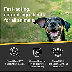 Silver Honey Rapid Ear Care Manuka Honey & MicroSilver BG Dog & Cat Vet Strength Ear Rinse, 4-fl oz bottle slide 2 of 6