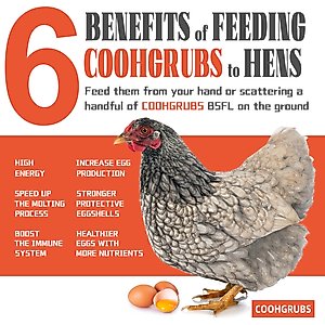 COOHGRUBS Dried Black Soldier Fly Larvae Chicken Feed, 5-lb box