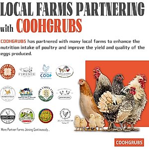 COOHGRUBS Dried Black Soldier Fly Larvae Chicken Feed, 5-lb box