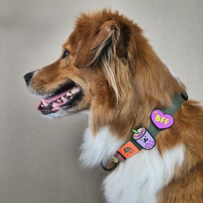 Show full view: Jiby Dog Crew Boba Jiby Dog Collar Accessory slide 2 of 4