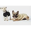 Show in main carousel: Shinola Cable Knit Dog Sweater, Ivory, X-Large slide 5 of 9