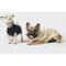 Show in main carousel: Shinola Cable Knit Dog Sweater, Ivory, X-Large slide 6 of 10