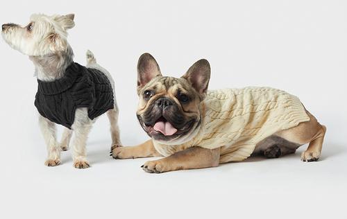 Show full view: Shinola Cable Knit Dog Sweater, Ivory, X-Large slide 6 of 10