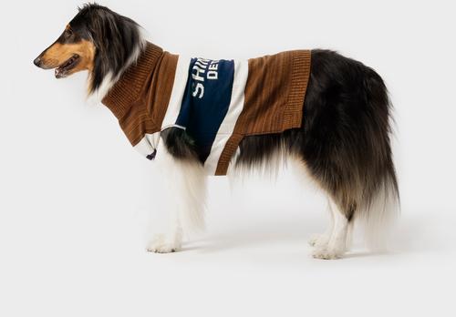 Show full view: Shinola Brand Stripe Dog Sweater, Brown, XX-Large slide 5 of 10
