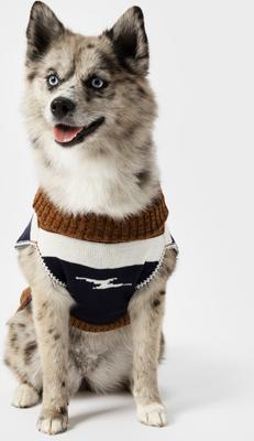 Show full view: Shinola Brand Stripe Dog Sweater, Brown, Small slide 5 of 9