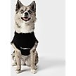Show in main carousel: Shinola Logo Dog Sweater, Black, Small slide 4 of 9