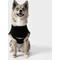 Show in main carousel: Shinola Logo Dog Sweater, Black, Medium slide 4 of 9