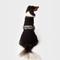 Show in main carousel: Shinola Logo Dog Sweater, Black, Medium slide 6 of 9
