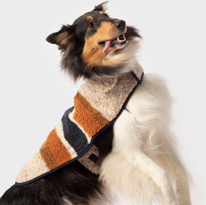 Show full view: Shinola Dog Coat, Oatmeal, Medium slide 7 of 10