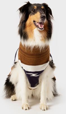 Show full view: Shinola Brand Stripe Dog Sweater, Brown, XX-Large slide 6 of 10