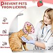 Show in main carousel: Supet Adjustable Cat Recovery Cone, Small: 5 to 9-in neck slide 5 of 5