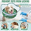 Show in main carousel: Supet Raised Inflatable Dog Recovery Cone Collar, XX-Large: 18 to 23-in neck slide 2 of 6