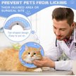 Show in main carousel: Supet Soft Air Mesh Cat Recovery Cone, Blue, Large: 9 to 12-in neck slide 2 of 5