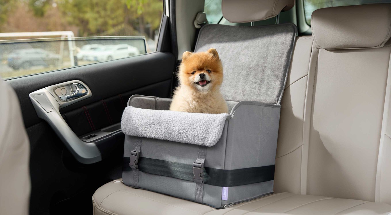 Lesure Foldable Dog & Cat Car Booster Seat, Standard