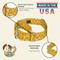 Show in main carousel: Country Brook Petz HossFit Jr Spring Cottagecore Wide Martingale Dog Collar, Yellow, Large: 18 to 26-in neck, 1.5-in wide slide 7 of 8