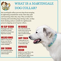 Country Brook Petz HossFit Jr Spring Cottagecore Wide Martingale Dog Collar, Yellow, Large: 18 to 26-in neck, 1.5-in wide slide 2 of 8