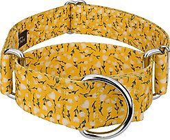 Country Brook Petz HossFit Jr Spring Cottagecore Wide Martingale Dog Collar, Yellow, Large: 18 to 26-in neck, 1.5-in wide