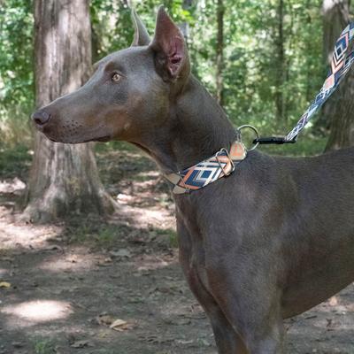 Show full view: Country Brook Petz HossFit Jr Terracotta Arrows Wide Martingale Dog Collar, Large slide 3 of 9