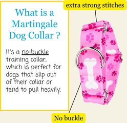Country Brook Petz HossFit Jr Oh My Dog Wide Martingale Dog Collar, X-Large slide 2 of 9