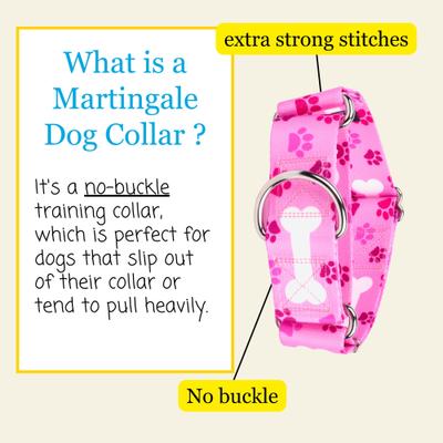 Show full view: Country Brook Petz HossFit Jr Oh My Dog Wide Martingale Dog Collar, Pink, Large slide 5 of 9