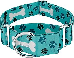 Country Brook Petz HossFit Jr Oh My Dog Wide Martingale Dog Collar, Large