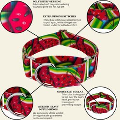 Country Brook Petz HossFit Jr Summer Melon Wide Martingale Dog Collar, Medium slide 2 of 8