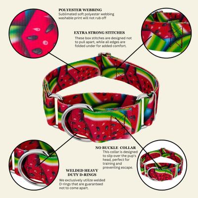 Show full view: Country Brook Petz HossFit Jr Summer Melon Wide Martingale Dog Collar, X-Large slide 6 of 8