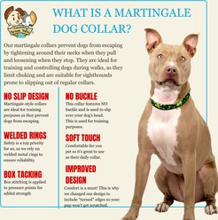 Country Brook Petz HossFit Jr Clovers in the Wind Wide Martingale Dog Collar, Green, Medium slide 2 of 9