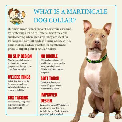 Show full view: Country Brook Petz HossFit Jr Clovers in the Wind Wide Martingale Dog Collar, Green, Large slide 8 of 10