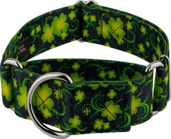 Country Brook Petz HossFit Jr Clovers in the Wind Wide Martingale Dog Collar, Green, Large