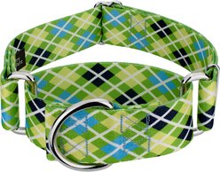Country Brook Petz HossFit Jr Margarita Argyle Wide Martingale Dog Collar, Medium
