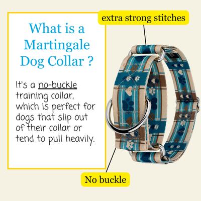 Show full view: Country Brook Petz HossFit Jr Margarita Argyle Wide Martingale Dog Collar, Medium slide 3 of 8