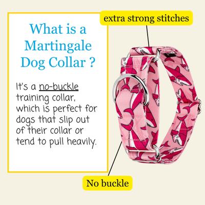 Show full view: Country Brook Petz HossFit Jr Pink Sharks Wide Martingale Dog Collar, Pink, Large slide 4 of 9