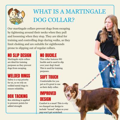 Show full view: Country Brook Petz HossFit Jr Sedona Arrows Wide Martingale Dog Collar, Large slide 8 of 9