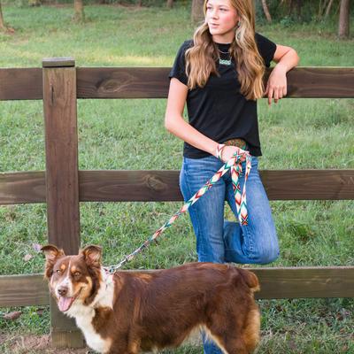 Show full view: Country Brook Petz HossFit Jr Sedona Arrows Wide Martingale Dog Collar, Large slide 4 of 9