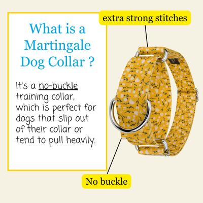 Show full view: Country Brook Petz HossFit Jr Spring Cottagecore Wide Martingale Dog Collar, Yellow, Large: 18 to 26-in neck, 1.5-in wide slide 3 of 8